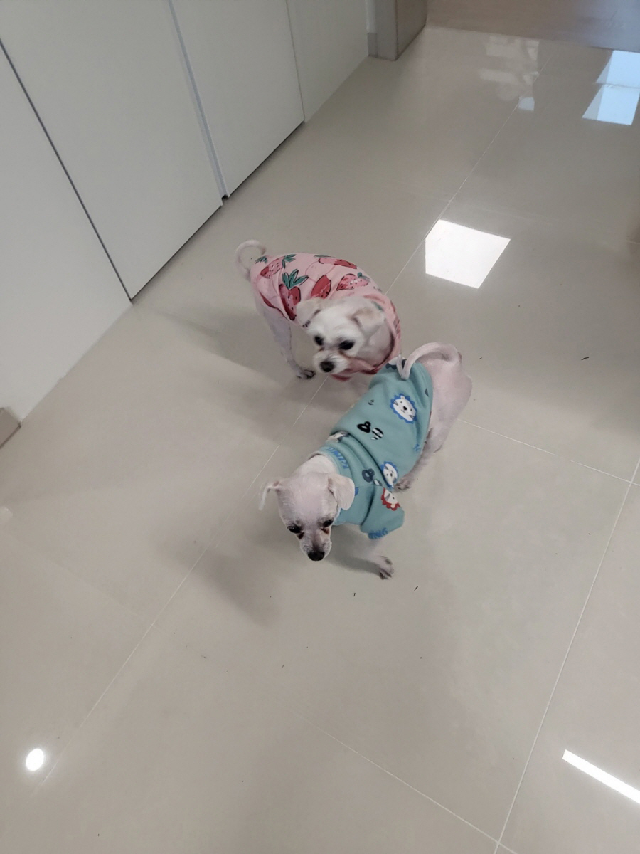 1948697120_C69W0jG2_3c4ad128bbd9f1940e4cf626f7cd2f5c6984ac58.jpg 이미지크게보기