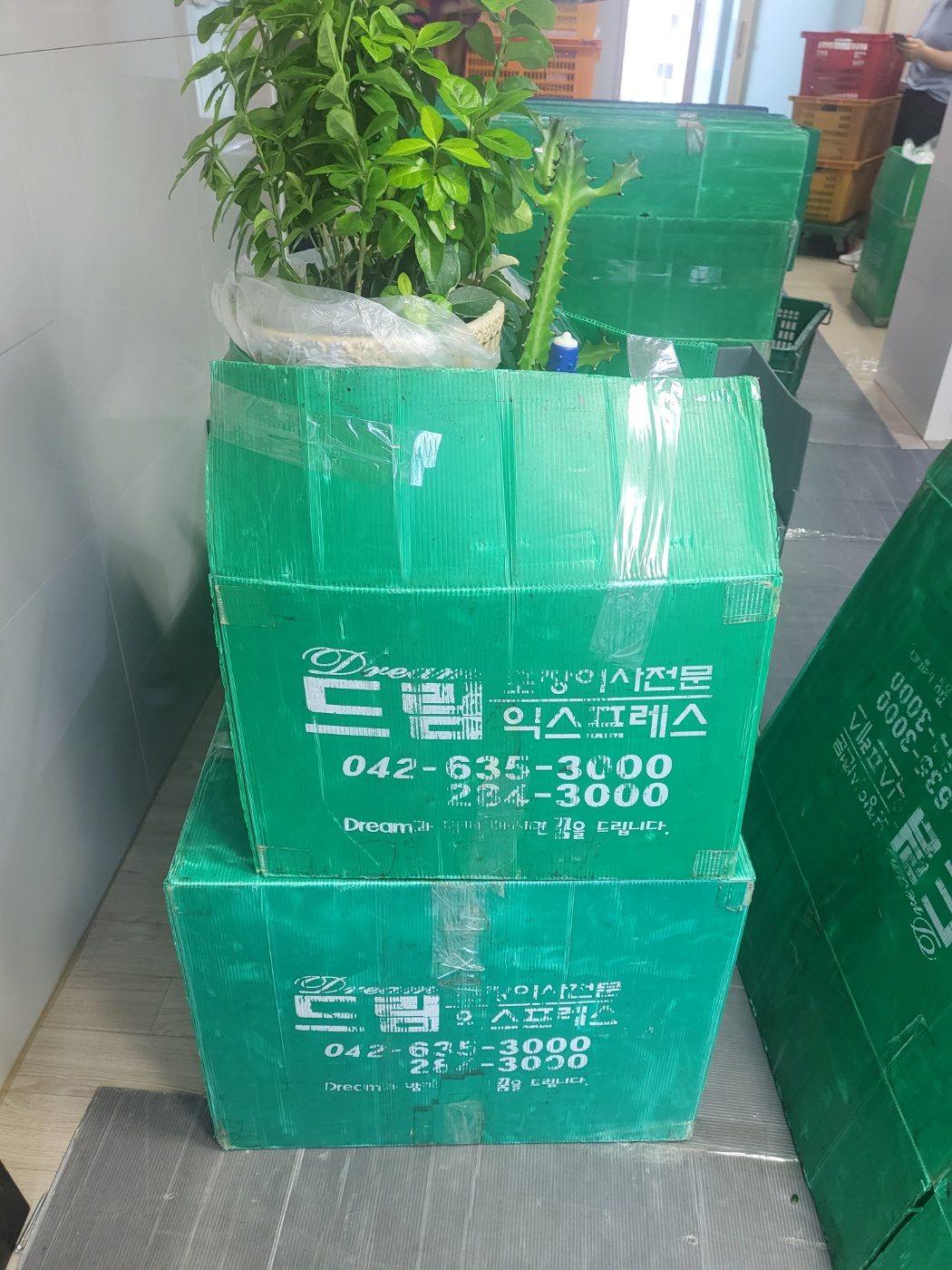 1948697120_mwgNtcT1_0a66a469870d9a183906cee0d74f7967809023df.jpg 이미지크게보기