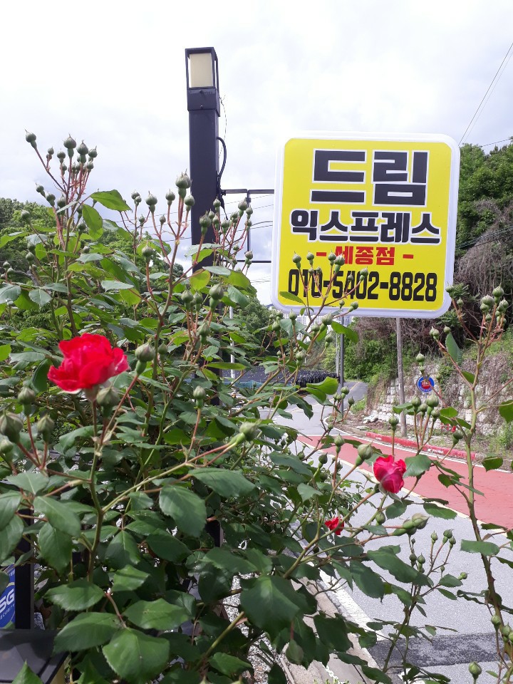 3034632970_0AG3lMeT_139ddf97d73d73938ce7998e324f1d2a722aefcc.jpg 이미지크게보기
