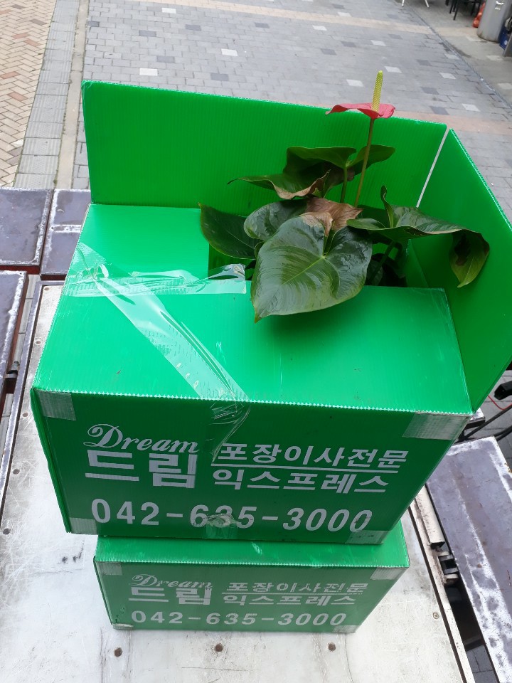 3034632970_MFQ7CpSl_aaeb7521776754342c1fdba4c10a0091034578b8.jpg 이미지크게보기